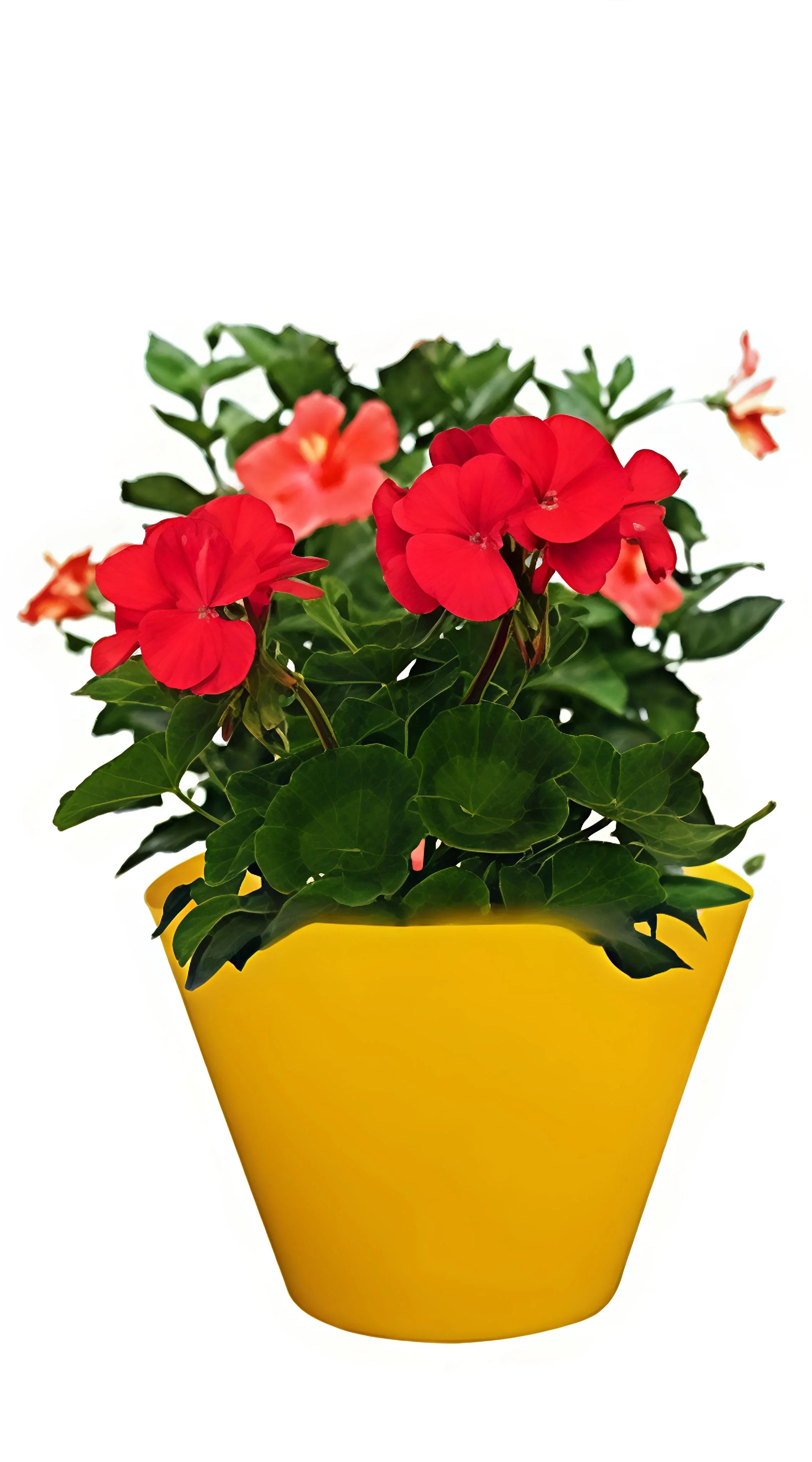 Plastic Hanging Planter Pot for Balcony Garden | Durable Hook Pot Indoor Outdoor