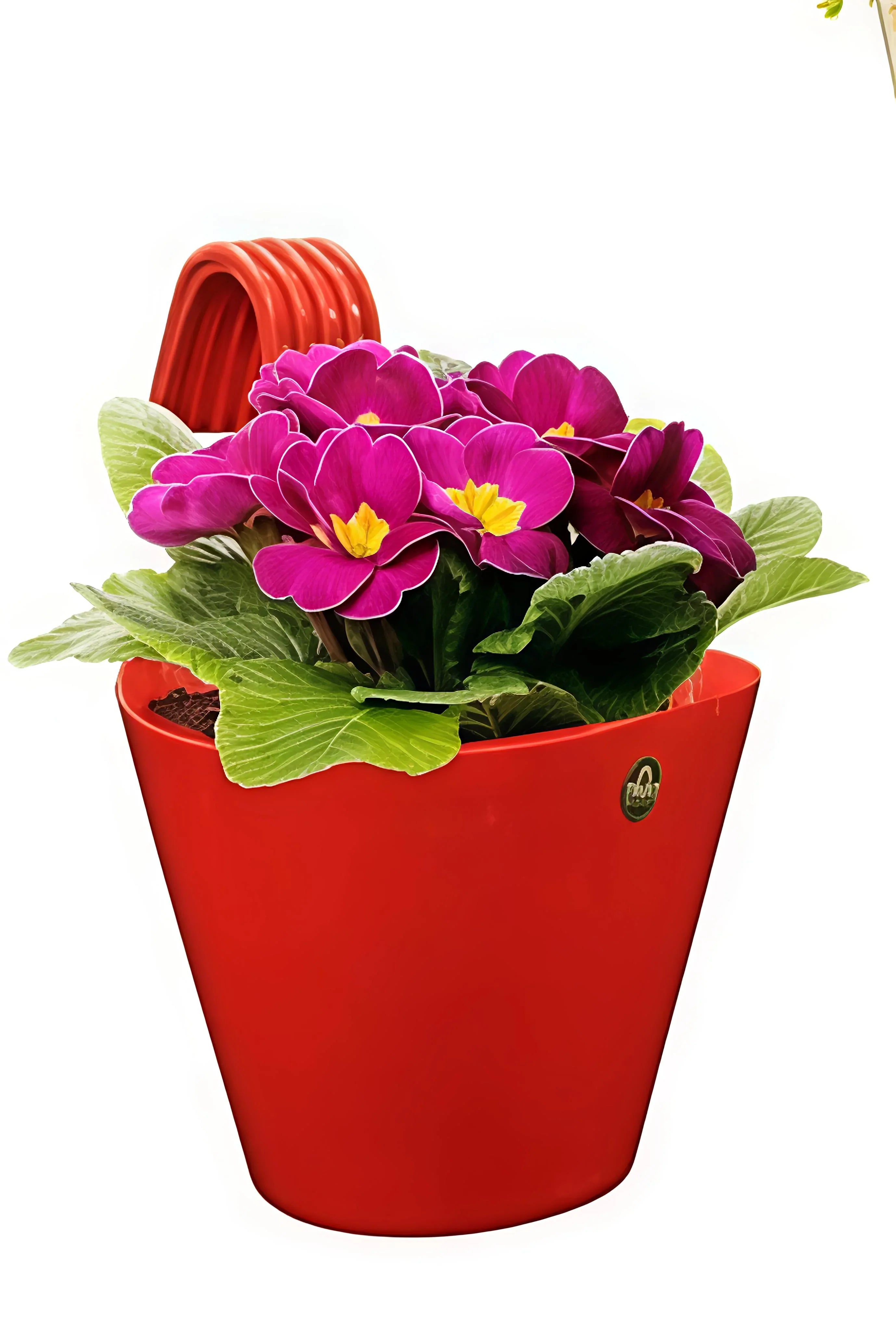 Plastic Hanging Planter Pot for Balcony Garden | Durable Hook Pot Indoor Outdoor