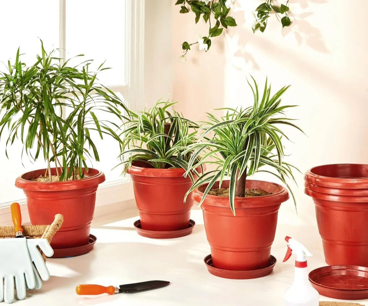 Round Plastic Plant Pot with Bottom Tray (Set of 6)  | Durable Garden Planter | Indoor Outdoor Flower Pot Leak-Proof