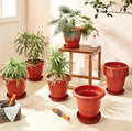 Round Plastic Plant Pot with Bottom Tray (Set of 6)  | Durable Garden Planter | Indoor Outdoor Flower Pot Leak-Proof