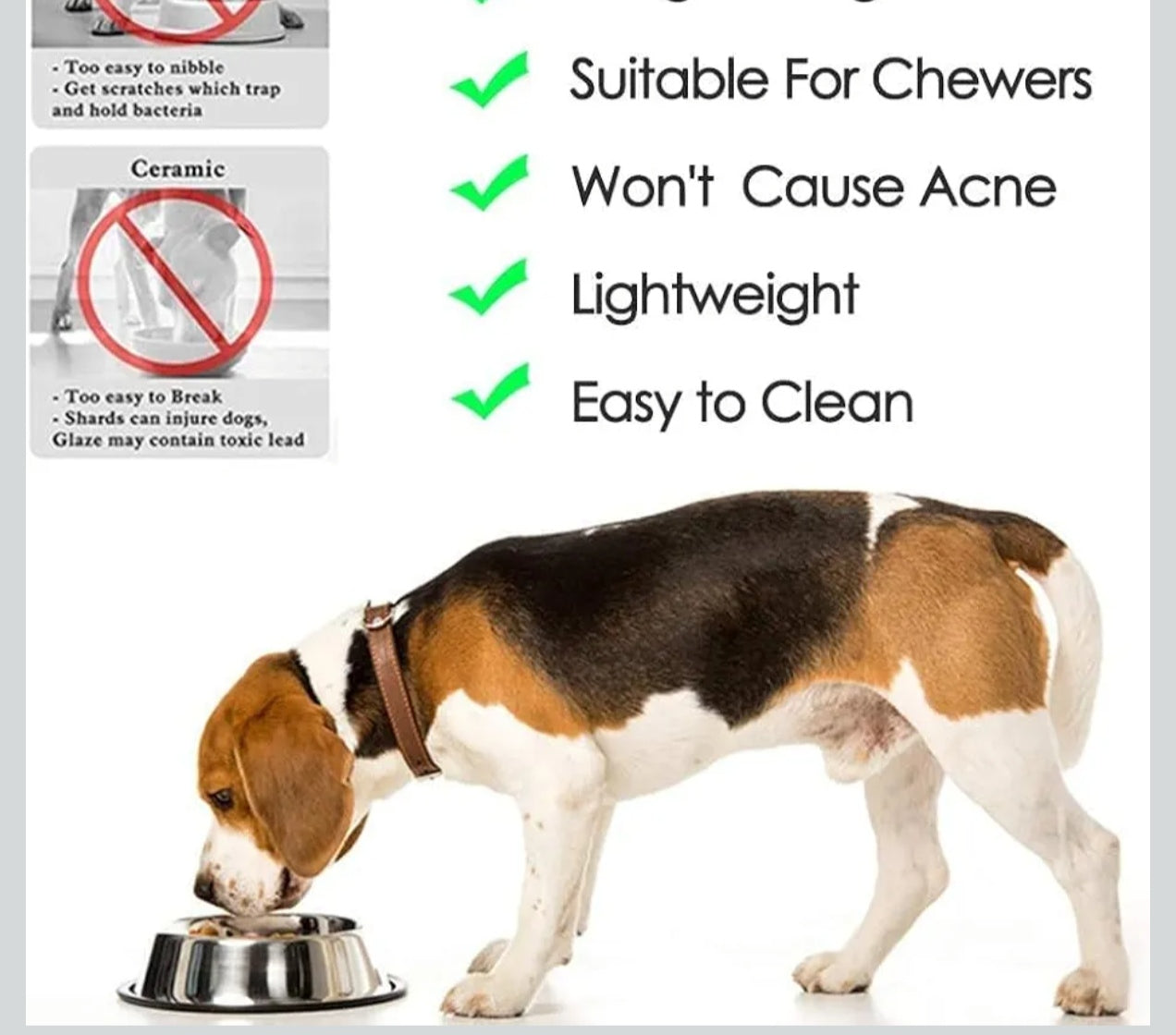 Pet Feeding Bowl | Dog & Cat Food Water Bowl