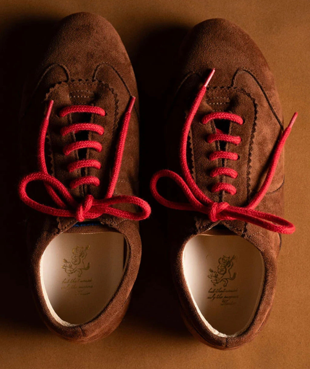 Bear Combat Shoes for Women | Stylish Casual Daily Wear Shoes