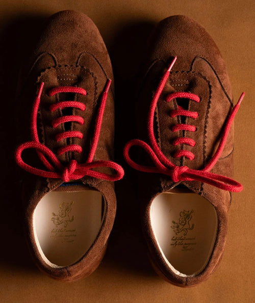 Bear Combat Shoes for Women | Stylish Casual Daily Wear Shoes